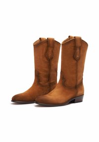 Botas de vaquero de gamuza marrón con punta afilada y tacón bloque, con costuras decorativas y lengüetas en la parte superior para facilitar su uso.