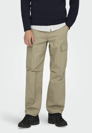 Only & Sons ONSRAY LIFE NOOS - Cargobroek - chinchilla