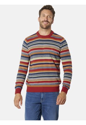 Mann trägt einen mehrfarbigen, gestreiften Langarmpullover und blaue Jeans, steht und lächelt leicht vor einem einfarbigen Hintergrund.
