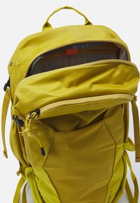 Deuter FUTURA 27 - Mochila - turmeric/greencurry