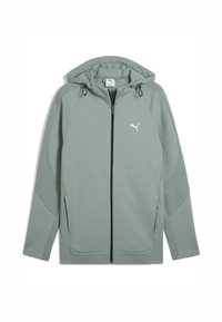 EVOSTRIPE FULL - Sudadera con cremallera - green moon