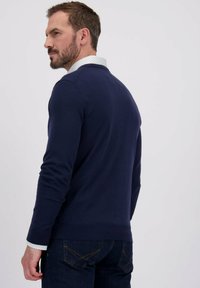 Man met kort bruin haar en baard, gekleed in een marineblauwe trui over een wit shirt met donkere spijkerbroek, kijkt over zijn schouder tegen een effen achtergrond.