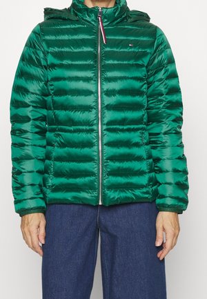 Mies pukeutuneena kiiltävään vihreään tikattuun toppatakkiin, jossa on etuvetoketju ja huppu, sekä tummansinisiin housuihin, seisomassa yksiväristä taustaa vasten.