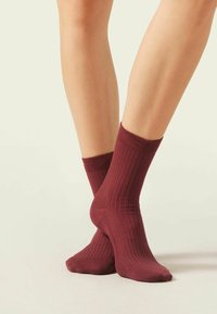 Calzedonia Chaussettes - rot  dark red