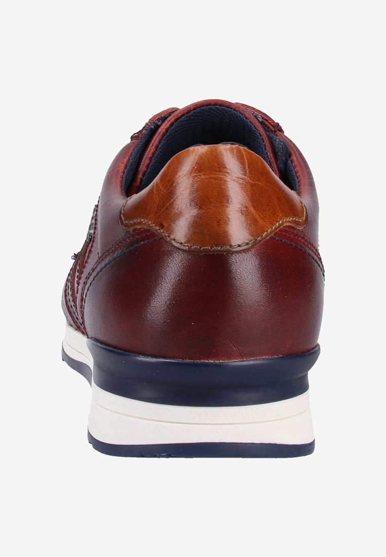 salamander basket homme