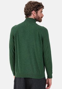 Grüner Strickpullover mit hohem Kragen, langen Ärmeln und geripptem Saum. Verfügt über eine glatte Textur und ein nahtloses Rückendesign.