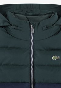 Lacoste PUFFER - Casaco de inverno - sinople