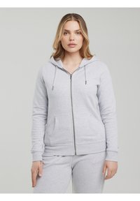 Big Star LAURISANA - Sweater met rits - grau