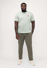 Lys grøn bomulds t-shirt med rund hals, korte ærmer og rød logo print. Sammen med olivengrønne bukser og beige sneakers.