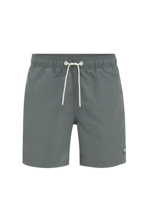 WE Fashion, Badeshorts - dark green