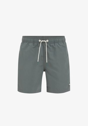 WE Fashion, Badeshorts - dark green