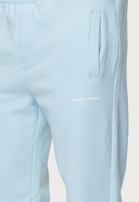 Pegador LOGO WIDE PANTS - Dresside alumine osa - washed baby blue