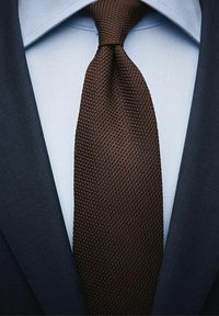 Brun, texturerad slips knuten vid kragen på en ljusblå skjorta, kompletterad av en mörk kostymjacka.