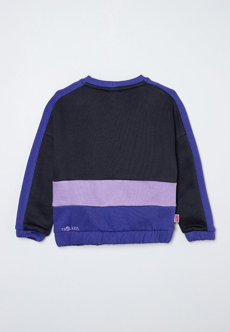 Farbblockiertes Sweatshirt in Navy, Lila und Flieder. Mit gerippten Bündchen, einem Rundhalsausschnitt und dem Logo "TROLL KIDS" am Saum. Weicher Stoff.