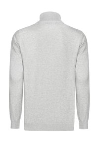 Hellgrauer Pullover mit hohem Kragen, langen Ärmeln, gerippten Bündchen und strukturiertem Strick. Einfaches, nahtloses Design ohne sichtbare Verschlüsse.