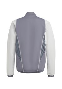 Grijze en witte sportjack met een hoge kraag, contrasterende zijpanelen en een soepele textuur. Voorzien van lichte stiksels en een slim fit ontwerp.