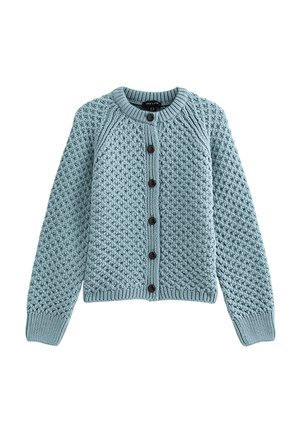 Cardigan tricoté bleu clair avec un motif texturé, col rond, devant à boutons et poignets et ourlet côtelés. Sept boutons foncés sont présents.