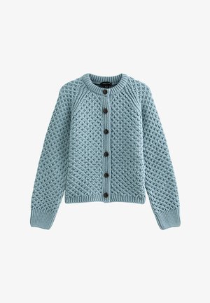 Lichtblauwe gebreide cardigan met een gestructureerd patroon, ronde halslijn, knoopsluiting aan de voorkant en geribbelde manchetten en zoom. Voorzien van zeven donkere knopen.