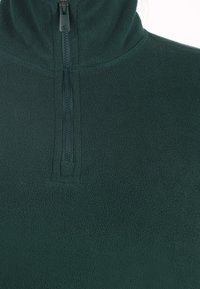Pullover in pile verde con colletto alto e chiusura con zip. Texture morbida con una finitura liscia, senza loghi o motivi visibili.