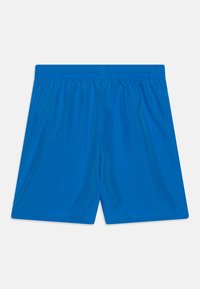 Nike Performance UNISEX - Pantalón corto de deporte - light photo blue/white