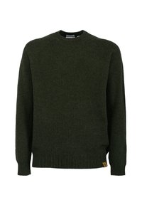 Timberland PHILLIPS BROOK RAGLAN - Strickpullover - verde