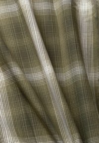 Green and white plaid fabric with a soft texture, featuring intersecting lines of varying thickness in a lightweight, draping design.