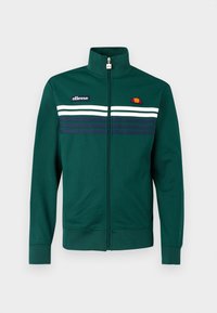 VICENZA JACKET - Καλοκαιρινό μπουφάν - dark green