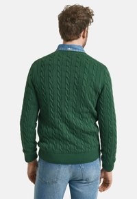 Grüner Kabelstrickpullover mit geripptem Saum und Bündchen, ausgestattet mit einer gewobenen Textur. Über einem blauen Jeanshemd getragen. Rückansicht gezeigt.