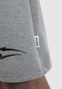 Smilodox NALE TRAINING SHORTS - Korte broeken - anthrazit