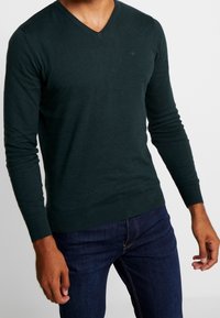 Maglione lavorato a maglia verde scuro con scollo a V, maniche lunghe e polsini e orlo a coste. Presenta un piccolo logo sul petto.