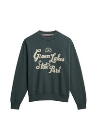 Sudadera de color verde oscuro en tejido de algodón. Presenta un cuello redondo, puños acanalados y una impresión gráfica que dice "Green Lakes State Park".