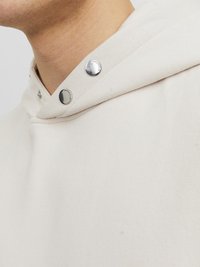 Jack & Jones JORVESTERBRO BACK HOOD - Sweatshirt - moonbeam