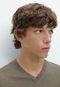 Capelli castano chiaro e mossi; giovane uomo con un'espressione neutra che indossa un maglione a V grigio-bruno; pelle liscia; sfondo semplice.