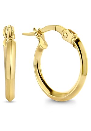 Paire de petites boucles d'oreilles créoles en or poli avec fermoir à charnière et surface lisse et arrondie.