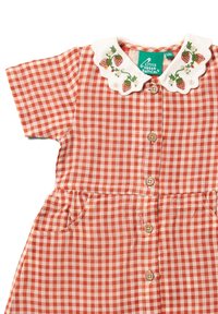 Kariertes Kleid in Rot und Beige mit einem gewellten weißen Kragen, der mit Erdbeer-Stickereien verziert ist, und Holzknöpfen; das Kleid hat seitliche Taschen.