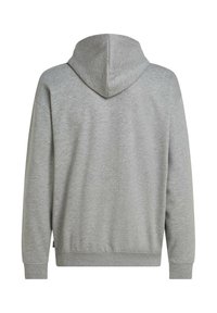 Sweat-shirt à capuche gris clair en tissu doux. Comprend une poche kangourou et des poignets côtelés. Design simple, adapté à un usage décontracté.
