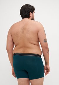 Boxer briefs teal con un elastico nero e grigio, realizzati in un materiale morbido e elastico, mostrati su una persona di spalle.