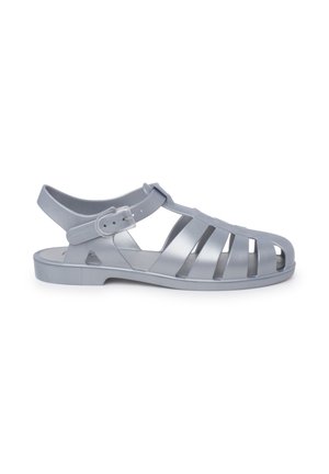 Pool slides - plata