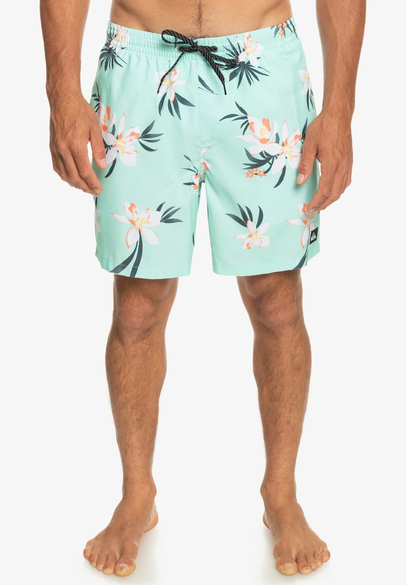 Quiksilver EVERYDAY MIX VOLLEY 17 Zwemshorts beach glass/groen