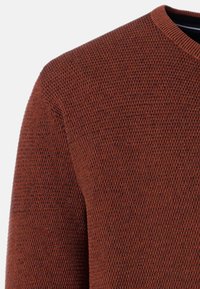 Maglione lavorato a maglia marrone con un motivo testurizzato e design a V, con colletto a costine e maniche lunghe.