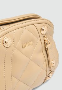 Beige pehmendatud nahast käekott kuldse viimistlusega, millel on logo, tõmblukk ja detailne tikand. Ringikujulised metallaktsendid on nähtavad.