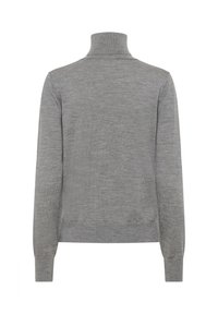 Hallide sildiga halli värvi turtleneck-sviiter, mis on valmistatud pehmest kudumist. Omab pikki varrukaid ja vormitud disaini, sile tekstuur ilma mustrite või aksessuaarideta.