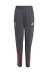 LIVERPOOL FC 25/26 COMPETITION TRAINING PANTS - Vereinsmannschaften - utility black