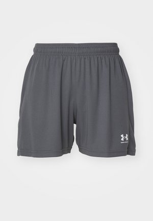 Grå treningsshorts laget av lett stoff, med elastisk midje og en hvit logo på nederste venstre ben. Glatt tekstur.