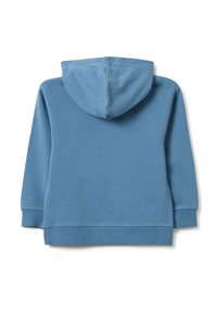 Sudadera de manga larga azul con puños y dobladillo acanalados, mostrada de forma plana mostrando la vista trasera y la capucha unida.