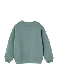 Grüner Baumwollpullover, lässige Passform, runder Ausschnitt, gerippte Bündchen, glatte Textur und keine sichtbaren Muster oder Hardware. Rückansicht.