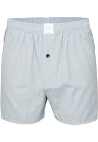 Lichtgrijze boxershorts met een elastische tailleband, een sluiting met voorste knop en een subtiele stoftextuur. Kenmerkt een logotag op de tailleband.