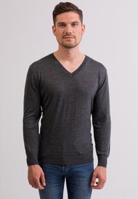 V-AUSSCHNITT  - Svetr - flanell