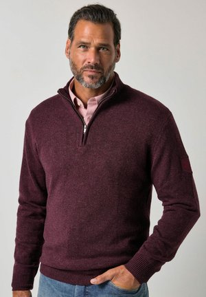 Man met kort donker haar en baard, die een bordeauxrode trui met een kwartrits draagt over een roze overhemd, met één hand in de zak.