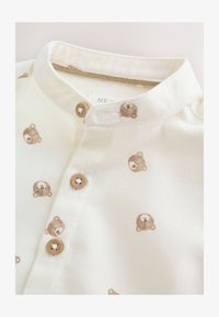 Neselectat, ecru bear